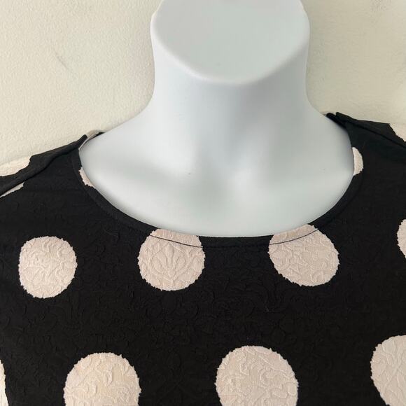 Smashed Lemon Women's Black Polka Dot Tie Waist 3/4 Sleeve Fit and Flare Dress 8 - Picture 3 of 9